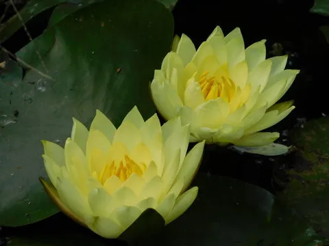 科技时代